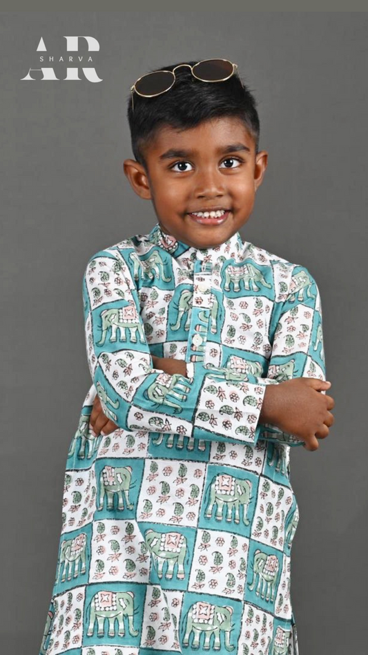 Chequered Elephant Block Print Kurta Pants Set